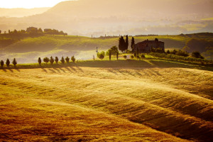 Włochy: Coraz mniej ziemi rolniczej