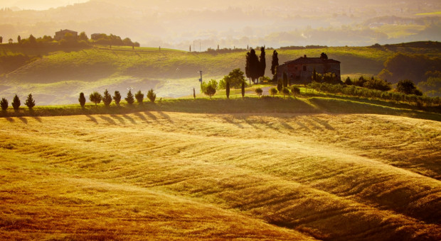 Włochy: Coraz mniej ziemi rolniczej