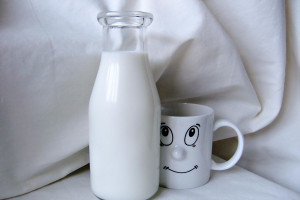 UE: Więcej na mleko w szkole