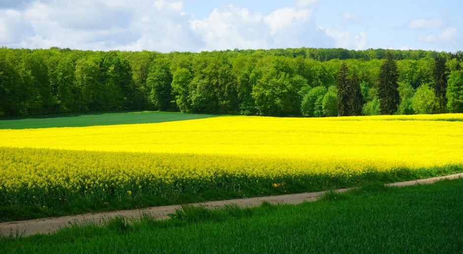 Senat rozpatrzył sprawozdania komisji dotyczące ustawy o wstrzymaniu sprzedaży ziemi; Fot. pixabay W Senacie odpowiedzi na pytania o sprzedaży ziemi