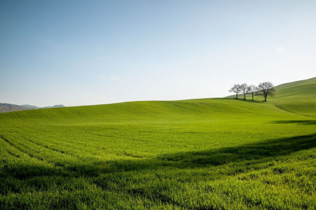 Wg przedsiębiorstwa niedobory wód w rzekach są poważne, fot. shutterstock Wody Polskie: wegetacja roślin na przełomie marca i kwietnia powinna przebiegać normalnie