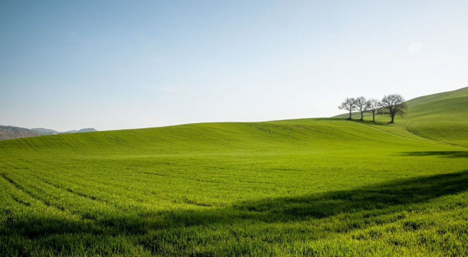 Pierwsze czytanie rządowego projektu odbyło się na posiedzeniu sejmowej komisji rolnictwa. Fot. pixabay Samorządom będzie łatwiej; komisja za projektem ustawy o finansowaniu WPR