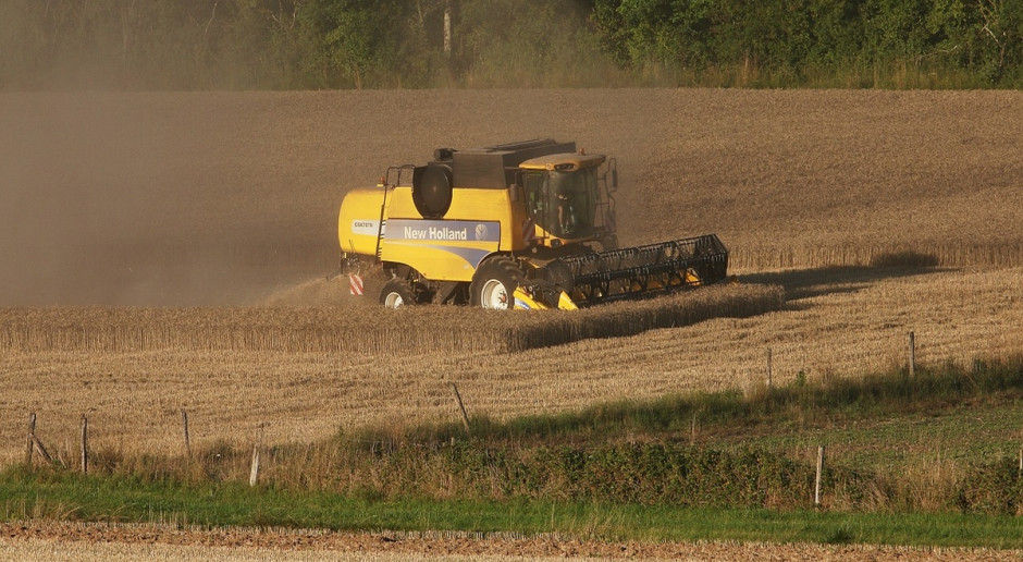 Prognoza kwietniowa DRV zakłada zbiory zbóż w Niemczech w 2016 r. na poziomie 48,2 mln ton (Fot. pixabay.com) Niemcy: Prognoza zbiorów zbóż nieco wyższa od średniej