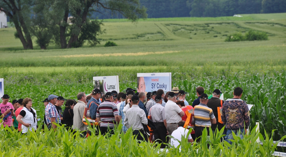Spotkanie polowe. Fot. W. Konieczny Pola Klasy S – firmy Syngenta