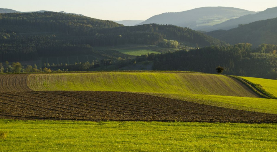 ARR podała, że według oceny IUNG - PIB straty w zasiewach zbóż ozimych średnio w kraju przekroczyły 10 proc.; Fot. pixabay Zbiory zbóż w tym roku na poziomie 28-29 mln ton