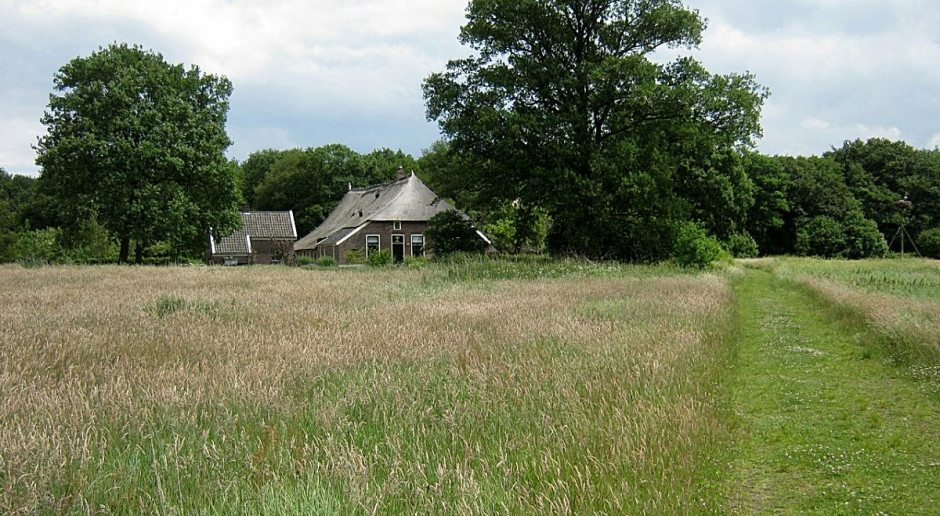 Działki o powierzchni mniejszej niż 0,3 hektara (30 arów) będą wyłączone spod rygorów ustawy o kształtowaniu ustroju rolnego; Fot. pixabay Załamanie na rynku sprzedaży ziemi w woj. warmińsko-mazurskim