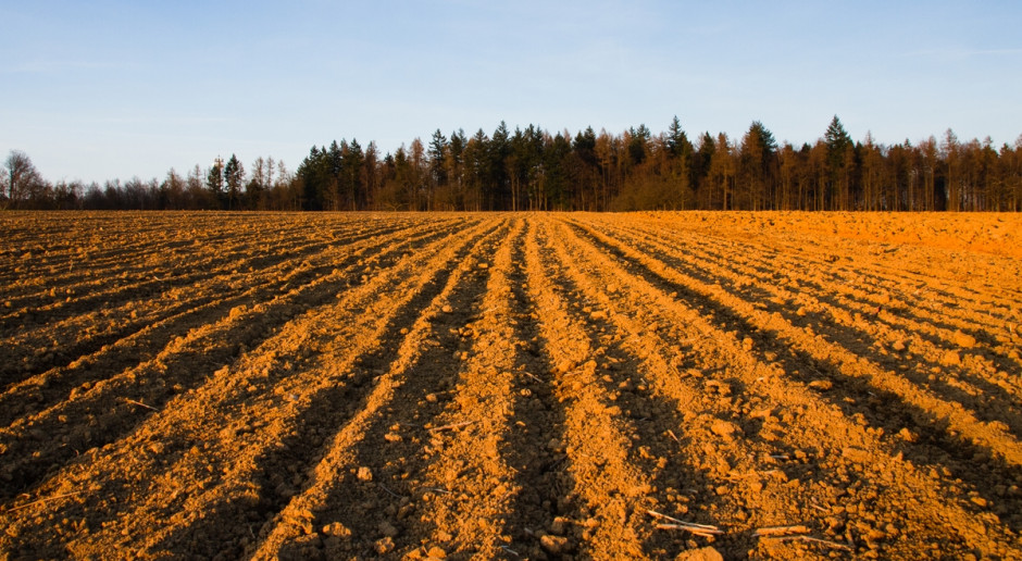 Fot. Shutterstock Dlaczego ANR przyspieszyła przetargi ograniczone tak, aby zakończyły się 30 kwietnia?