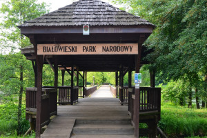 Białowieski Park Narodowy nie wydzierżawi od rolników łąk dla żubrów