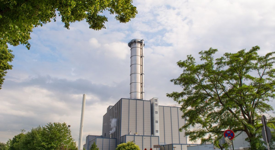 Hektar lasu o kubaturze 200 m. sześc., w którym dosadzono np. buki, może pochłonąć dodatkowo o 10 proc. więcej CO2, niż zwykły las, w którym nie prowadzono dosadzeń; Fot. pixabay "E-węgiel": pomysł LP na aukcję CO2 pochłoniętym przez lasy