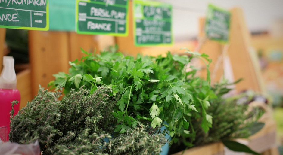 W Europie stale rośnie areał upraw ekologicznych; Fot. pixabay Rośnie rynek produktów ekologicznych w UE