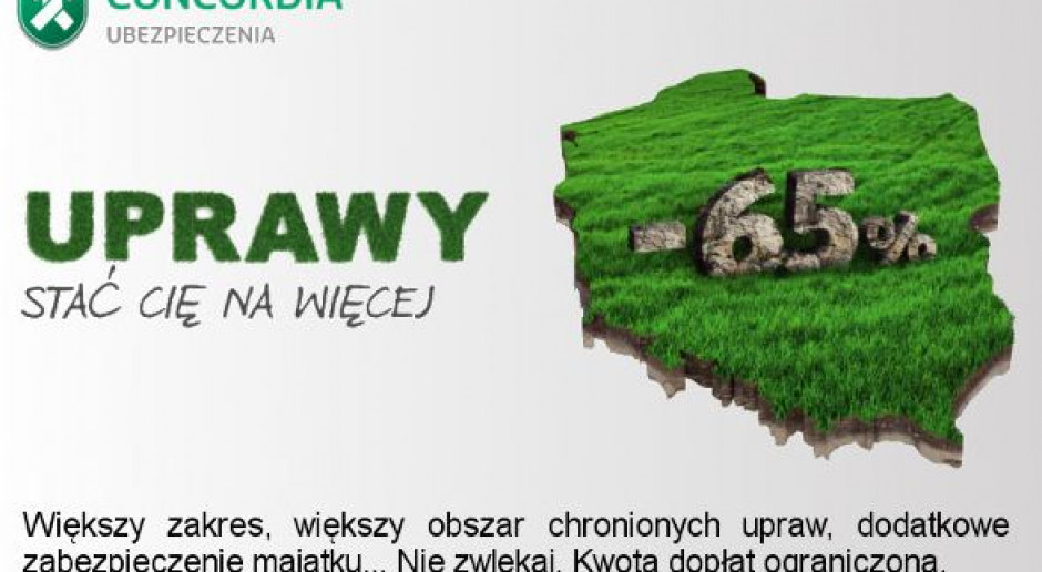 Stała suma ubezpieczenia upraw ratunkiem na spadek cen
