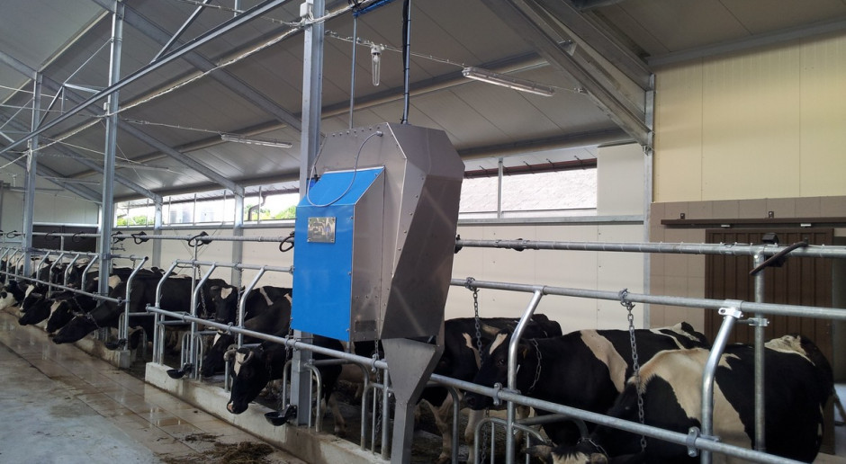 Wózek do pasz treściwych dostosowuje dawkę do aktualnego zapotrzebowania krowy, fot.Euromilk Automatyczne zadawanie treściwych również na uwięzi