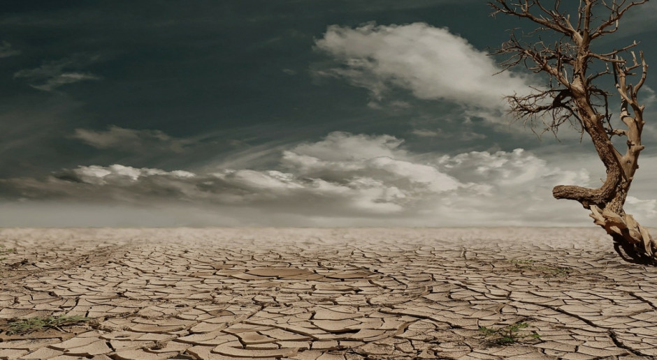 Zjawisko El Niño dotknęło 41 mln ludzi; Fot. pixabay.com UE: Więcej środków na zwalczanie problemów bezpieczeństwa żywności