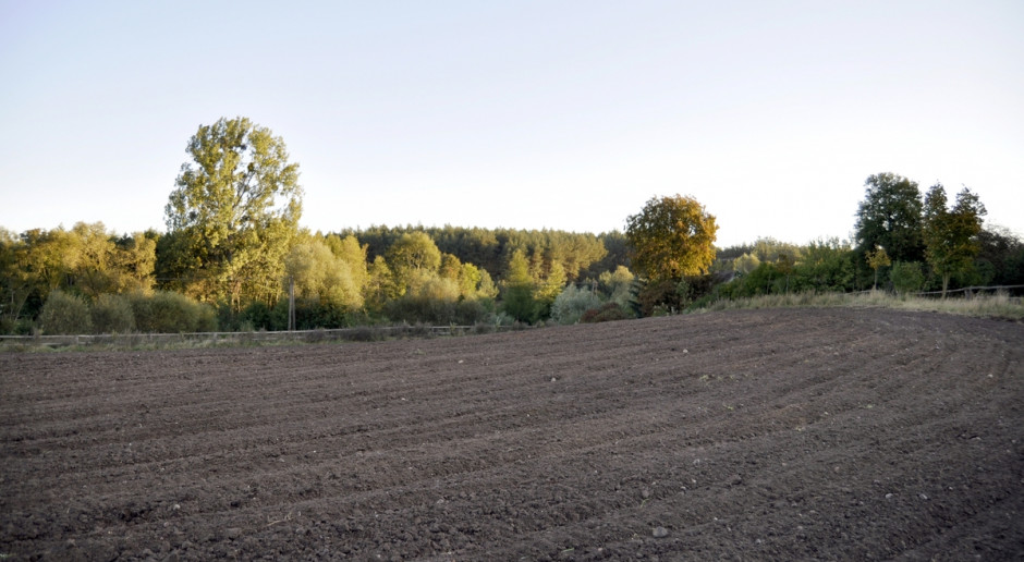 Jak długo jeszcze ARiMR będzie badać, czy należą się dopłaty za 2012 rok? fot. A. Królak ARiMR „wyjaśnia”, a komornik egzekwuje
