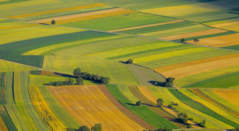 Fot. Shutterstock Duże zainteresowanie rolników dzierżawą państwowej ziemi