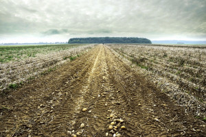 Kazachstan: Reforma rolna zawieszona 