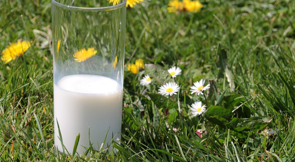 Koszt skupu mleka często jest niższy od kosztów produkcji; Fot. pixabay Będzie kolejna pomoc dla producentów mleka?