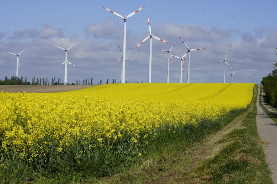Prezes NIK Krzysztof Kwiatkowski przedstawił w czwartek sejmowej komisji infrastruktury informacje na temat lokalizacji elektrowni wiatrowych; Fot. pixabay