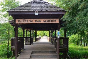 Olimpia Pabian nowym dyrektorem Białowieskiego Parku Narodowego