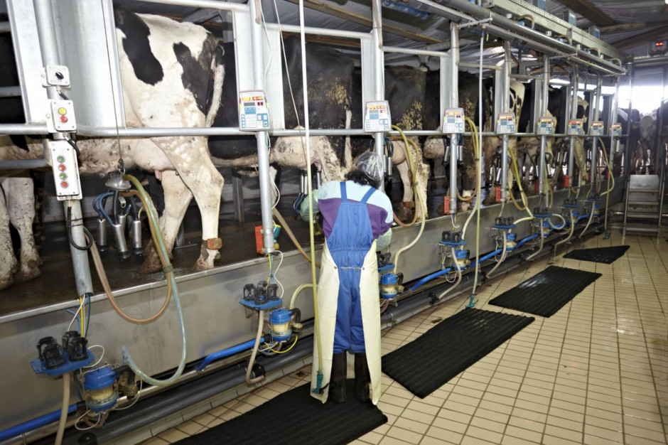 Automatic Milking Systems (AMS) Market