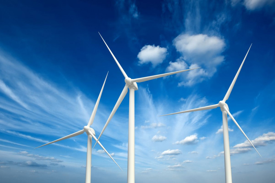 Ponad 71,6 proc. energii pozyskiwanej z OZE pochodziło z biopaliw stałych, fot. Shutterstock