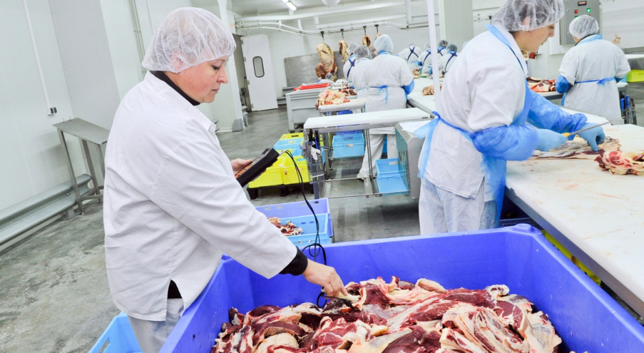 Fot. Vipavlenkoff / Shutterstock.com Czy Ukraina faktycznie chce importu mięsa z Polski?
