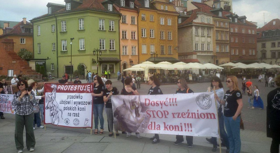 Fot. Facebook/ TARA - Schronisko dla Koni Protest przeciw ubojowi i wywozowi polskich koni na rzeź