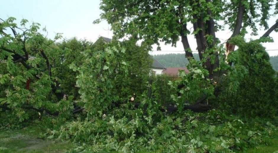 Fot. www.psp-nowysacz.pl PSP: W środę w związku z burzami strażacy interweniowali blisko 800 razy