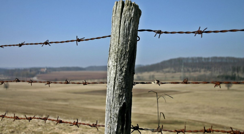 Zdaniem MRiRW pastwiska nie powinny być grodzone drutem kolczastym. Fot pixabay.com Czy wolno grodzić pastwiska drutem kolczastym?