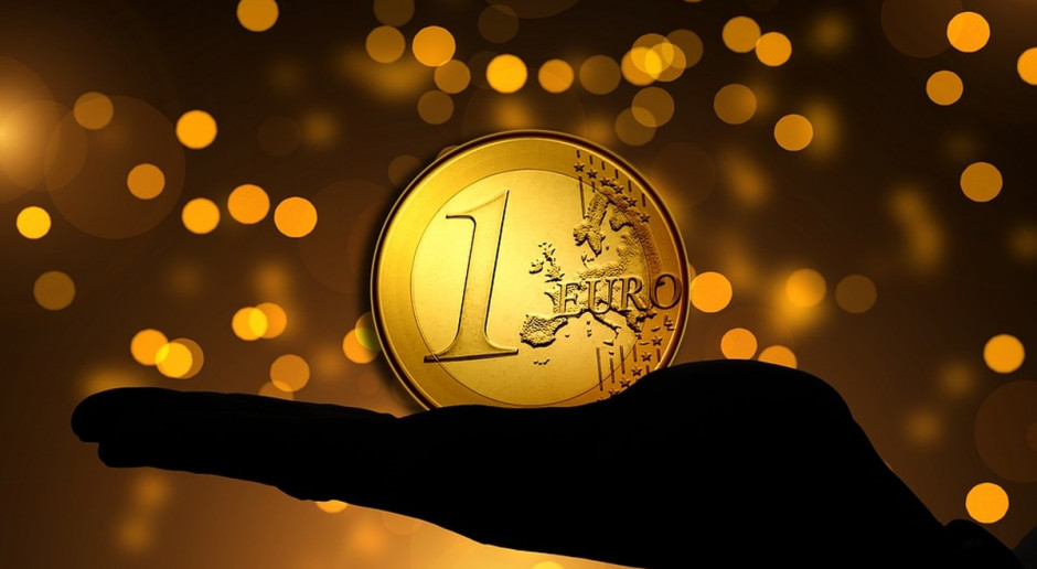EFS wymaga ubezpieczenia w ZUS; fot. pixabay Działalność gospodarcza dla rolnika w EFS