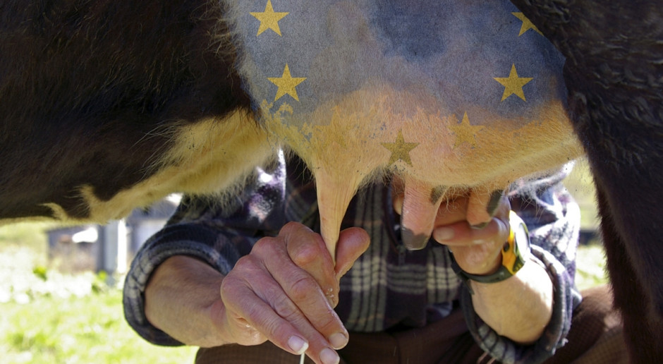 Rolnicy stracili najwięcej na kłopotach rynku mleka; fot. Fotolia/farmer.pl Mleku może pomóc tylko Unia Europejska