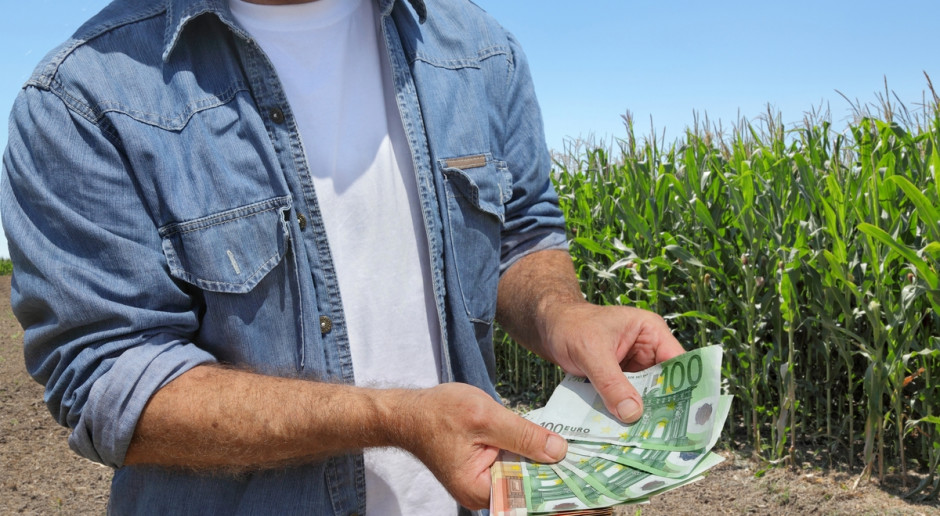 ARiMR planuje zakończenie wypłat w pierwotnym terminie do 30 czerwca, fot. Shutterstock UE przedłuża wypłaty dla rolników, ARiMR dotrzyma wcześniejszego terminu
