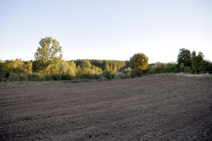 Nowoczesna złożyła projekt noweli ustawy o ziemi rolnej