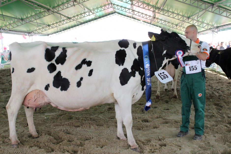Metysi To Potomkowie Przedstawicieli Białej Odmiany Człowieka Oraz Multimedia | farmer.pl