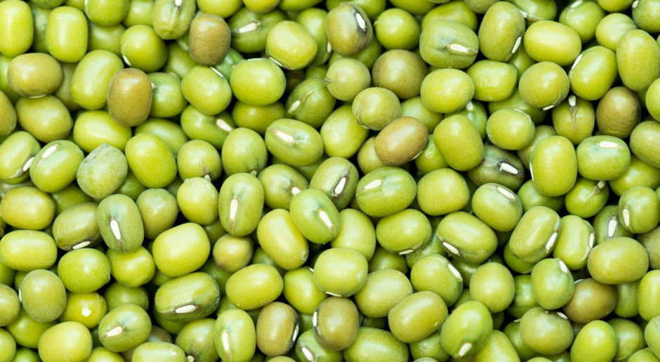Fot. Shutterstock Rekordowy tydzien soi