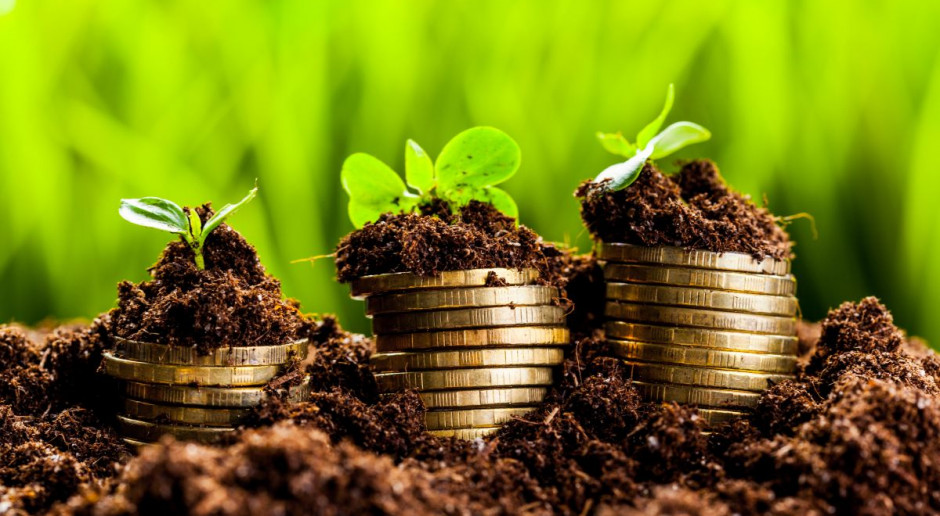Stawki dopłat powinny być dokładnie szacowane; Fot. Shutterstock W 2015 dopłaty do wysokobiałkowych źle oszacowane?