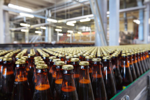 Eurostat: Polska w pierwszej trójce największych producentów piwa w UE