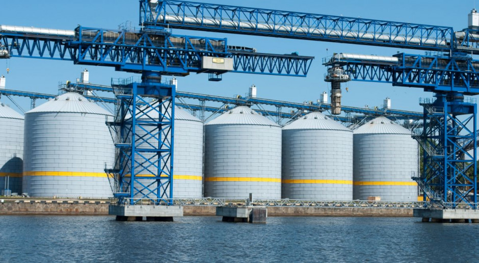 Producenci zbóż od lat starają się o zwiększenie możliwości eksportowych, ale do tego potrzebna jest budowa infrastruktury portowej; Fot. Shutterstock Producenci zbóż zabiegają o budowę terminala zbożowego