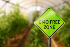 PIM: Wzrasta popularność produktów bez GMO