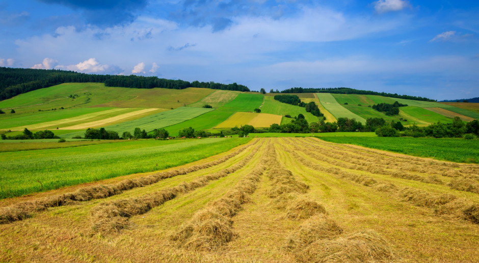 System doradztwa rolniczego w Polsce składa się z 16 wojewódzkich ośrodków doradztwa rolniczego (ODR) oraz Centrum Doradztwa Rolniczego w Brwinowie (CDR); Fot. Shutterstock Komisja rolnictwa przeciw poprawkom do ustawy o ODR-ach
