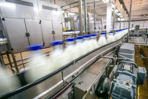Trzy kolejne zakłady mleczarskie mogą eksportować mleko do Chin