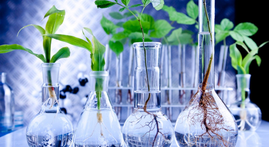 Rosyjska duma państwowa przyjęła projekt ustawy o zakazie uprawy roślin GMO; Fot. Fotolia Rosja: Zakaz uprawy roślin GMO