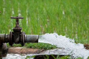 Rolnicy zapłacą za wodę mniej niż planowano