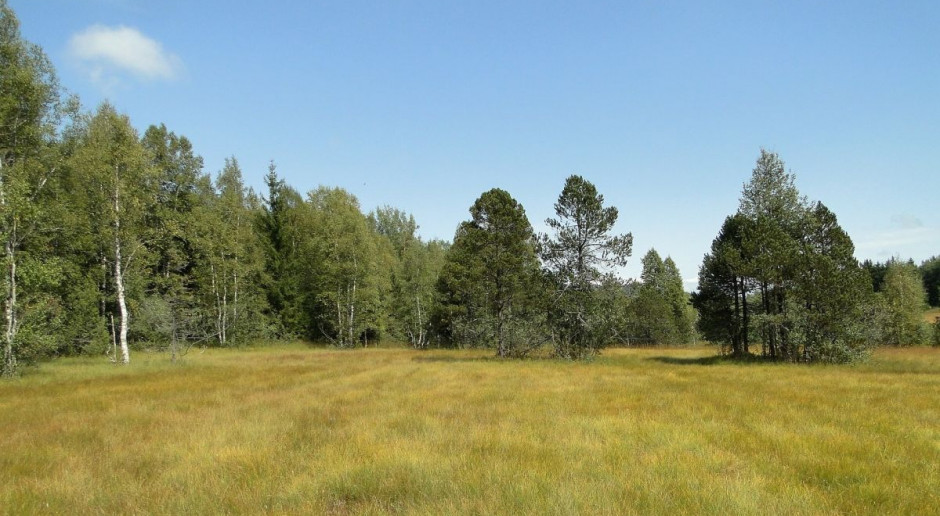 Roczny czynsz dzierżawny będzie ustalany od użytków rolnych, budynków, budowli i urządzeń, od stawów (karpiowych i pstrągowych) oraz plantacji wieloletnich Minister rolnictwa zaproponował stawki czynszu dzierżawnego
