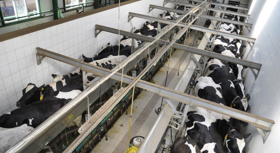 Wśród sukcesów województwa podlaskiego wicepremier wskazał m.in. na silny przemysł mleczarski i rolno-spożywczy oraz medycynę, zwłaszcza innowacyjne projekty realizowane przez Uniwersytet Medyczny w Białymstoku, fot. A. Królak Morawiecki o rozwoju woj. podlaskiego: m.in. w oparciu o mleczarstwo