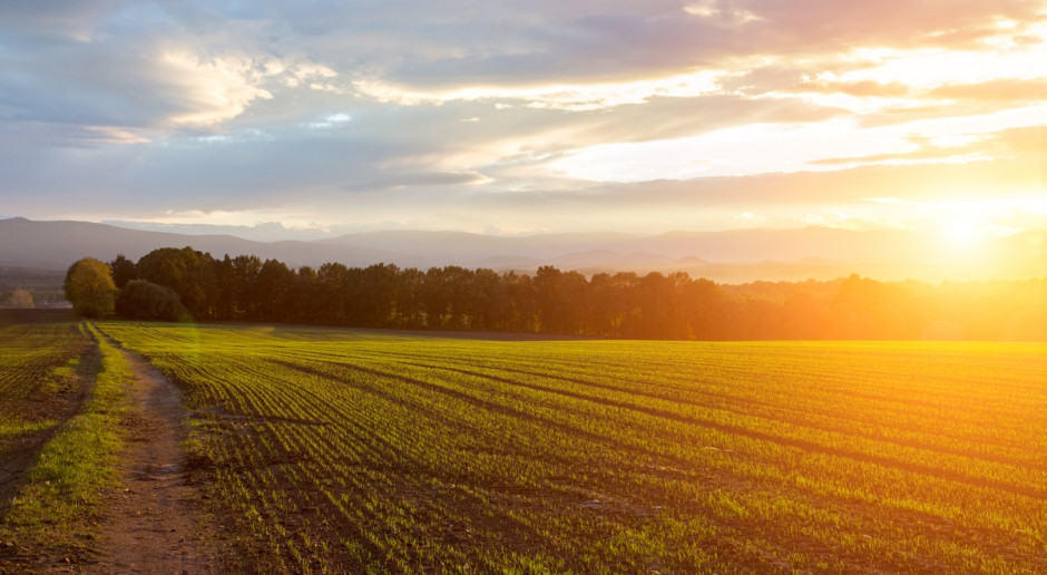 Po dwóch miesiącach obowiązywania nowych rozwiązań mamy projekt zmian w zasadach sprzedaży ziemi; fot. Shutterstock Trzy projekty nowelizacji zasad sprzedaży ziemi