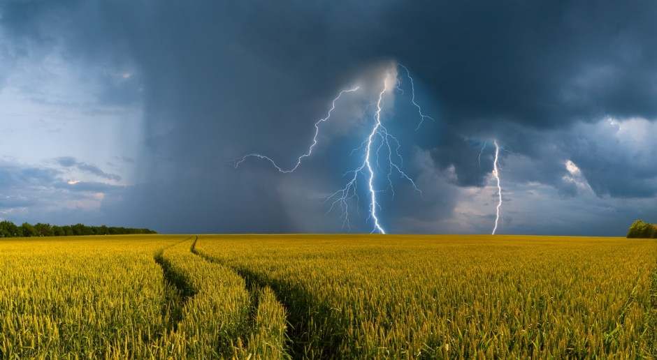 Fot. Shutterstock IMGW: Burze z gradem na Dolnym Śląsku i Opolszczyźnie