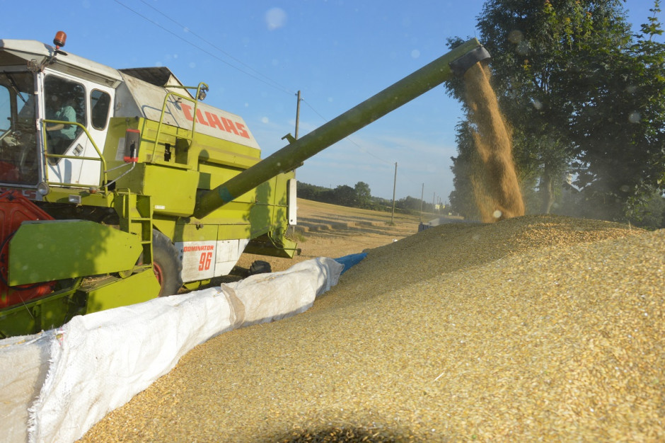 Według danych KOWR, tegoroczne zbiory zbóż okazały się rekordowe