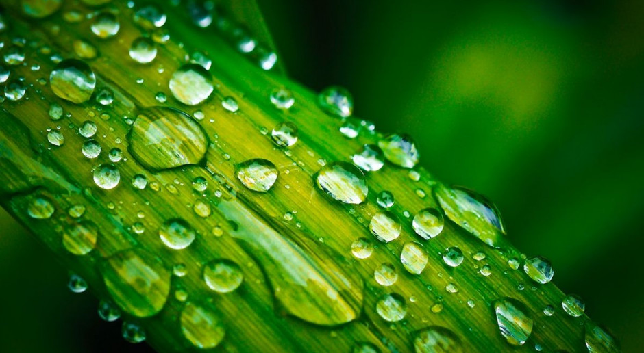 Opłaty za wodę nie będą dotyczyć wszystkich rolników; fot. pixabay Za wodę zapłaci niewielu rolników