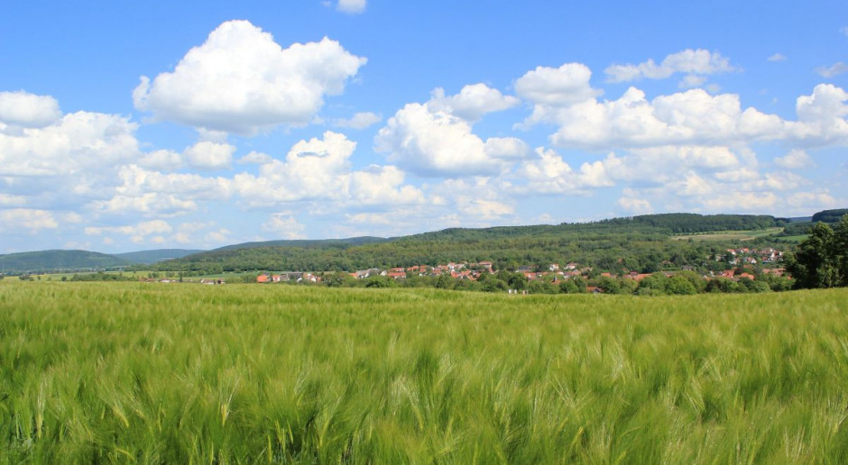 Fot. pixabay Jednomyślne poparcie Senatu wobec nowelizacji obrotu ziemią rolną